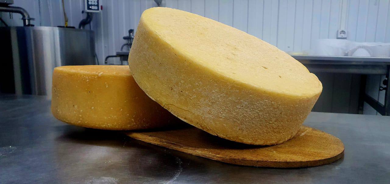 Фермерский сыр из деревенского коровьего молока. Сыроварня "Заповедный край". Фермерский сыр из деревенского коровьего молока. Сыроварня "Заповедный край".